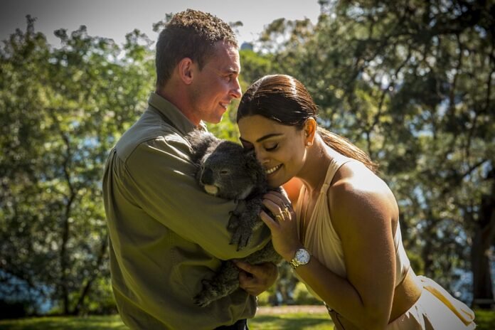 Juliana Paes com Koala em gravação de 'Totalmente Demais' em Sydney, Austrália (Foto: Globo/Renato Rocha Miranda) Juliana Paes com Koala em gravação de 'Totalmente Demais' em Sydney, Austrália (Foto: Globo/Renato Rocha Miranda)