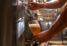 8 cervejarias em Santa Catarina para conhecer 8 cervejarias em Santa Catarina para conhecer (Foto: Freepik)