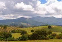 Vinícola Matetic, no Chile, propõe imersão ao universo enológico