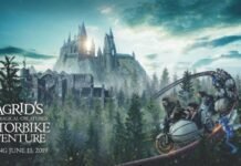 Universal Orlando divulga nome e data de abertura da nova montanha-russa de Harry Potter Universal Orlando anuncia estreia de 'Hagrid's Magical Creatures' (Foto: Divulgação)