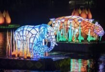 ‘Rivers of Light’: Disney’s Animal Kingdom estreia primeiro show noturno em abril Rivers of Light é o novo espetáculo noturno do Disney's Animal Kingdom (Foto: Matt Stroshane/Disney)