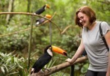 Parque das Aves em Foz do Iguaçu bate recorde de visitação em 2019 A conexão com a natureza é profunda no Parque das Aves (Foto: Divulgação)