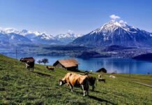A Suíça abrirá as fronteiras para turistas brasileiros no sábado, 26 de junho (Foto: Instagram)