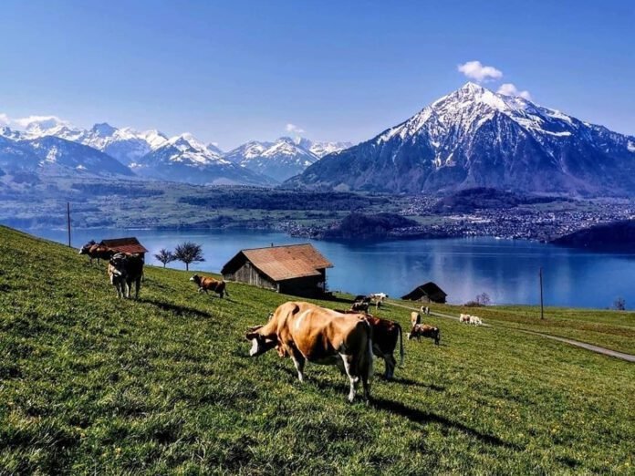 A Suíça abrirá as fronteiras para turistas brasileiros no sábado, 26 de junho (Foto: Instagram)