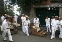 Ilha da Madeira: 5 passeios imperdíveis para um roteiro de viagem Tradicionais carros de cesto (Foto: Turismo da Madeira)