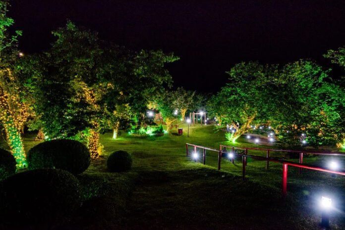 Parque da Cerejeira em Campos do Jordão celebra o Natal com um lindo Circuito de Luzes (Foto: Cleverson Nunes)
