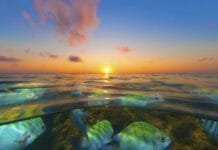 Nordeste é um dos destinos mais procurados para festas de fim de ano Nordeste brasileiro é um dos destinos mais procurados para festas de fim de ano, aponta levantamento (Foto: Thiago Cavalcanti)