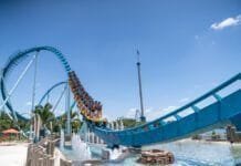 Orlando: 6 atrações de adrenalina para sua próxima viagem Orlando Tree Trek Adventure Park (Foto: Divulgação)