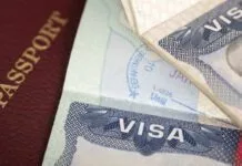 Visto E2: Transporte executivo fatura US$15 mil mensais nos EUA Visto E2 oferece oportunidade para viver e trabalhar nos EUA com família