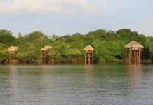 Descubra a Amazônia com Juma Amazon Lodge: roteiros guiados e sustentáveis (Foto: Divulgação)