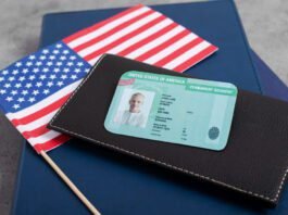 Profissionais de áreas STEM têm oportunidades de obter o Green Card (Foto: Freepik)