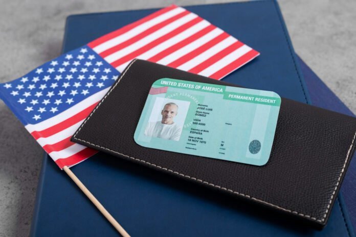 Profissionais de áreas STEM têm oportunidades de obter o Green Card (Foto: Freepik)