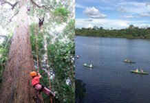 Hotéis Juma oferecem tudo que pais e filhos precisam para aproveitar Manaus e a floresta amazônica com muito conforto (Fotos: Divulgação)