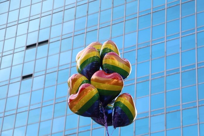 Dicas de locais para curtir depois da Parada LGBT+ na Paulista (Foto: Rovena Rosa/Agência Brasil)