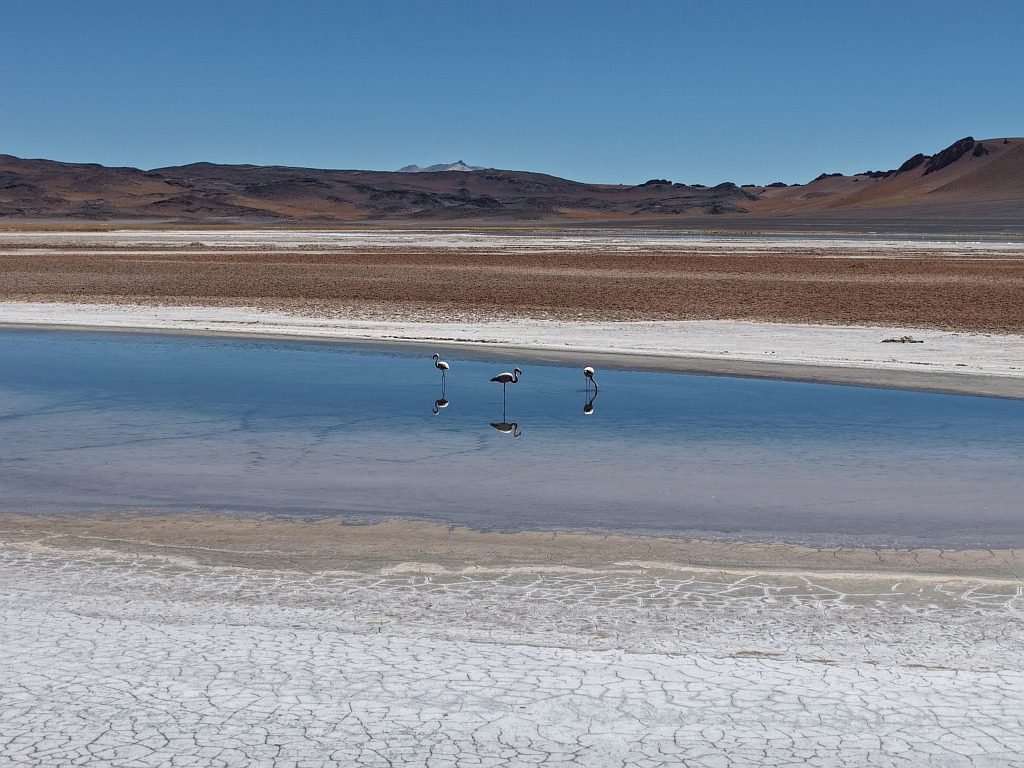 Horizonte Atacama oferece roteiros completos para todos os perfis (Foto: Divulgação) Horizonte Atacama oferece roteiros completos para todos os perfis (Foto: Divulgação)
