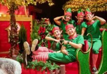 ‘Natal de Holambra by Expoflora 2025’ terá teatro e neve em SP Evento 'Natal de Holambra 2025' abre temporada natalina em SP (Foto: Divulgação)