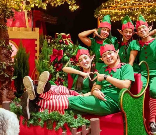 ‘Natal de Holambra by Expoflora 2025’ terá teatro e neve em SP Evento 'Natal de Holambra 2025' abre temporada natalina em SP (Foto: Divulgação)