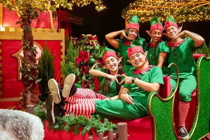 Evento 'Natal de Holambra 2025' abre temporada natalina em SP (Foto: Divulgação)