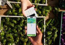 Brasileiros priorizam euro e aumentam uso digital, aponta Wise Wise registra aumento no uso doméstico e destaca digitalização (Foto: Divulgação)