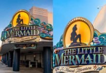 Disney anuncia novo show da Pequena Sereia em maio no Hollywood Studios 'The Little Mermaid – A Musical Adventure' estreia em maio (Fotos: Divulgação)