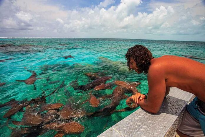 Mexico Rocks reúne formações coralinas em águas rasas e transparentes (Foto: Divulgação/Belize Tourism Board) Mexico Rocks reúne formações coralinas em águas rasas e transparentes (Foto: Divulgação/Belize Tourism Board)