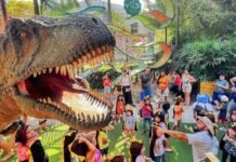 Vila Encantada é eleita melhor atração familiar do mundo Parque Vila Encantada ficou em primeiro lugar no Traveller’s Choice 2026 (Foto: Divulgação)