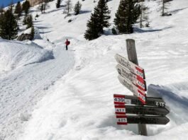 Transações de brasileiros em destinos de neve crescem 130% (Foto: Riccardo Lamon/Unplash)