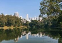 ão Paulo cresce nas buscas por hotéis durante shows de Harry Styles São Paulo registrou alta nas buscas por hotéis entre 12 e 26 de julho (Foto: Divulgação/Hoteis.com)